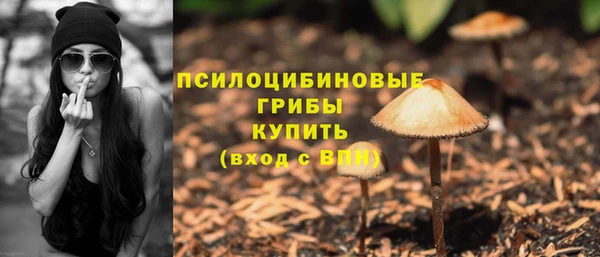 ПСИЛОЦИБИНОВЫЕ ГРИБЫ Баксан