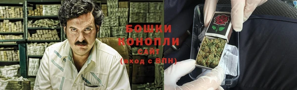 молекула духа Белокуриха