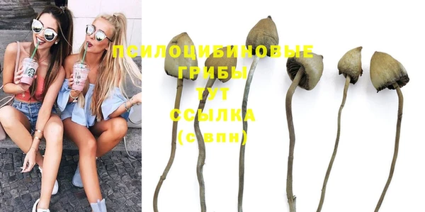 молекула духа Белокуриха