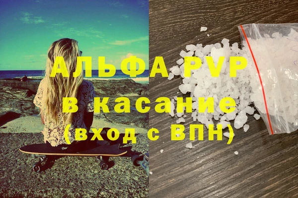 индика Дмитровск
