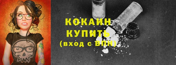молекула духа Белокуриха