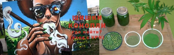 ПСИЛОЦИБИНОВЫЕ ГРИБЫ Баксан