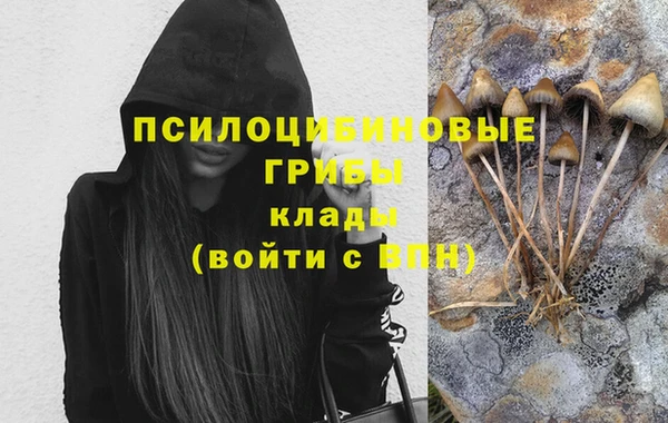 молекула духа Белоозёрский